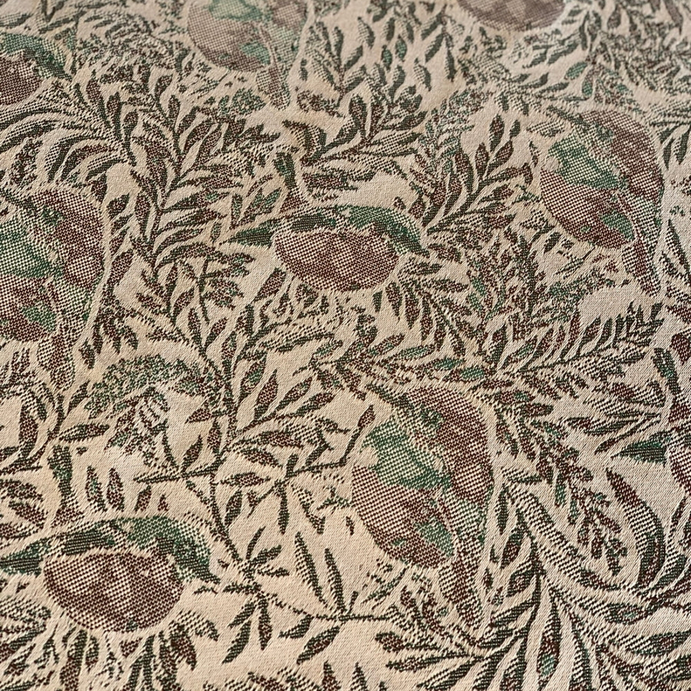 Cardellino amricana 2